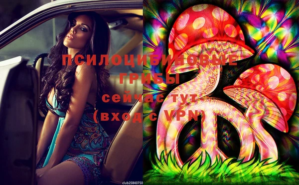 дурь Вязьма