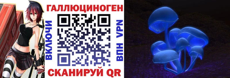 Купить  Углич  Галлюциногенные грибы Psilocybe 
