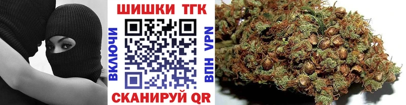 Купить где  Углич  Каннабис индика 